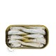 Sardines in olive oil 14/18 pieces Dardo