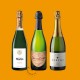 Pack Cava
