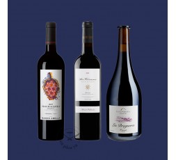 Pack vins Priorat experiència