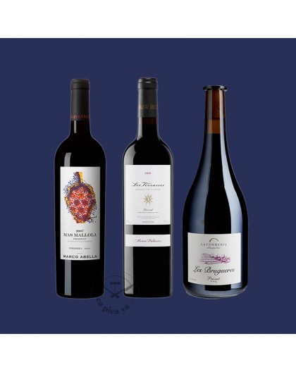Pack vins Priorat experiència