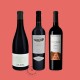 Pack Vins Priorat Premium