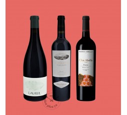 Pack Priorat Premium Wines