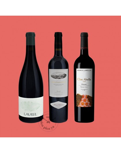 Pack Vins Priorat Premium