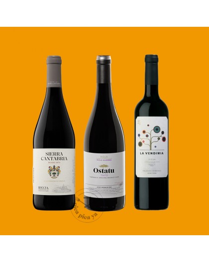 Pack Vinos Rioja Introducción