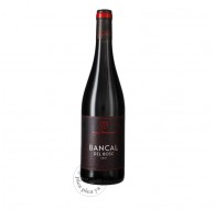 Bancal del Bosc 2022