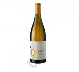 Acústic Blanc 2024