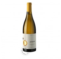 Acústic Blanc 2024