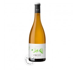 Freyé Parellada Muscat 2025