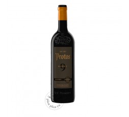 Protos 9 Meses 2024