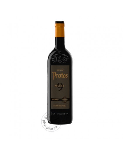 Protos 9 Meses 2024