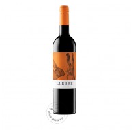 Llebre 2024