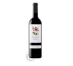 Camins del Priorat 2024