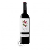 Camins del Priorat 2024