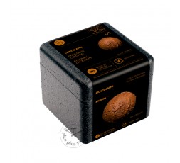 Colonial chocolate ice cream 600ml Sandro Desii