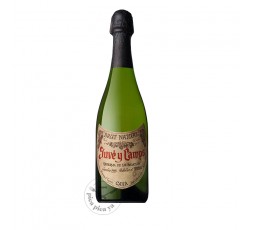 Juve & Camps Reserva de la Familia Brut Nature 2017 (cold)