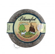 Garrotxa Cheese Blancafort