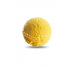 Mango ice cream 600ml Sandro Desii