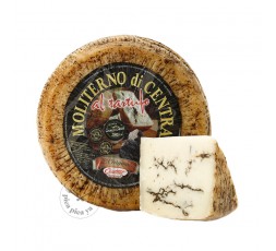 Moliterno cheese with Tartufo